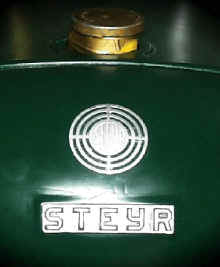 steyr.jpg (32293 Byte)